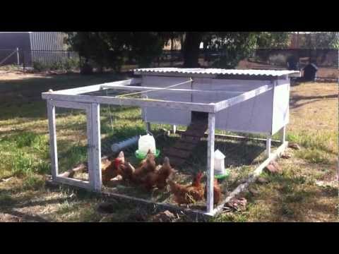 Tour our Chicken Tractor. DIY portable chicken coop