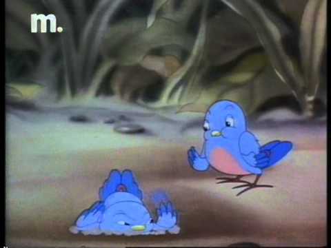 A Boy, a Gun and Birds'
