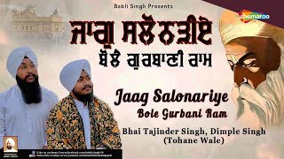 Jaag Salonariye – Bhai Tajinder Singh x Bhai Dimple Singh (Tohana Wale) | Shabad Video HD