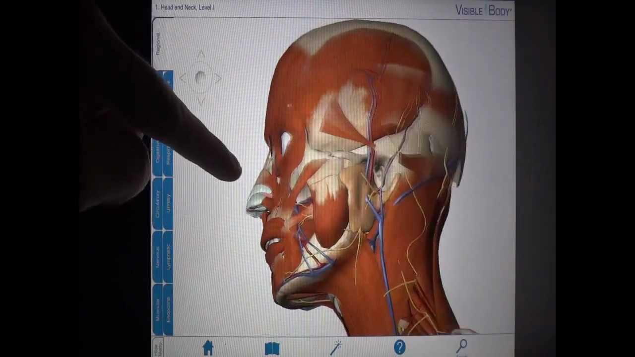 Educational App Tutorial: Visible Body (3D Human Anatomy) - YouTube