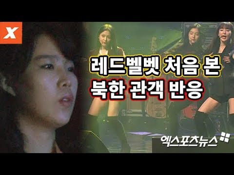 레드벨벳을 처음 본 북한 관객…평양 공연단 가수별 반응 모음(RED VELVET, SNSD SEOHYUN,NORTH KOREA)