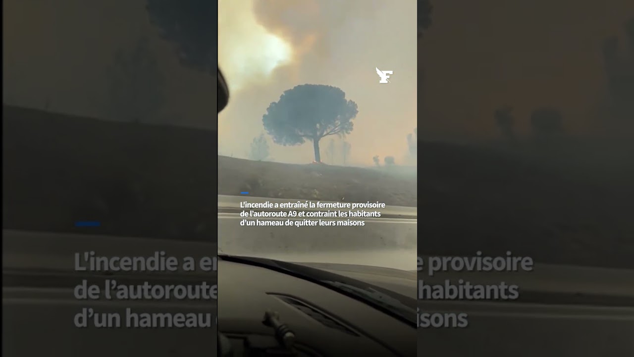 Un feu de grande ampleur a parcouru lundi 7 juillet plus de 2000 hectares de végétation près de