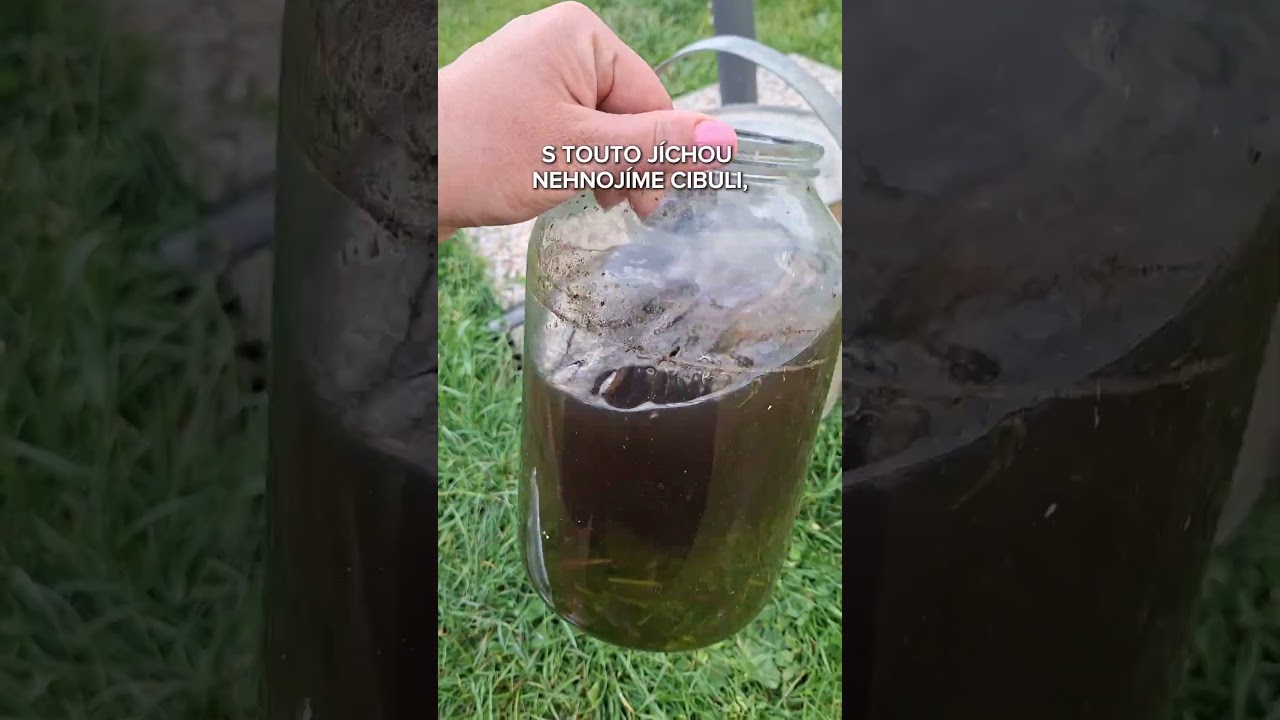 Zapomeňte na chemii! Tento populární zázrak z kopřiv zaručí pořádnou úrodu #toprecepty