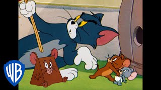 Tom a Jerry - zábava v životě