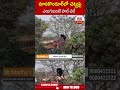మానకొండూర్ లో చెట్టుపై ఎలుగుబంటి హల్ చల్ | #bear #manakondur | ABN Telugu  - 00:52 min - News - Video