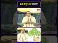 ఈ నాలుగింటిని పురుషార్థములు అంటారు | What is Purushartha? | Dr. Mylavarapu Srinivasa Rao | BhakthiTV