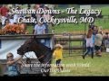Shawan Downs - The Legacy Chase, Cockeysville, MD, US - Pictures