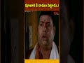 పూజారి కే నామం పెట్టాడు..! #ytshorts #shorts #comedy #telugumovies #msnarayana | Navvula Tv  - 01:00 min - News - Video
