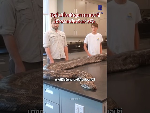 ทำเงินจากเอเลี่ยนสปีชีส์￼