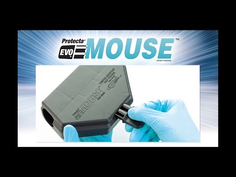 Protecta Evo Mouse Bait Stations