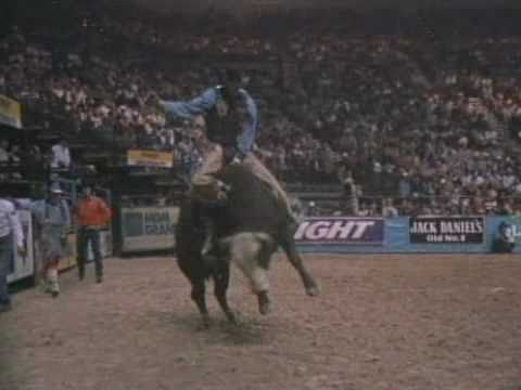 Cowboy Up'