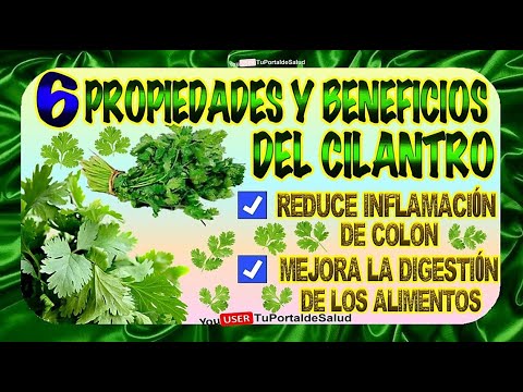 Cilantro 6 Beneficios para la Salud- propiedades y beneficios del cilantro 