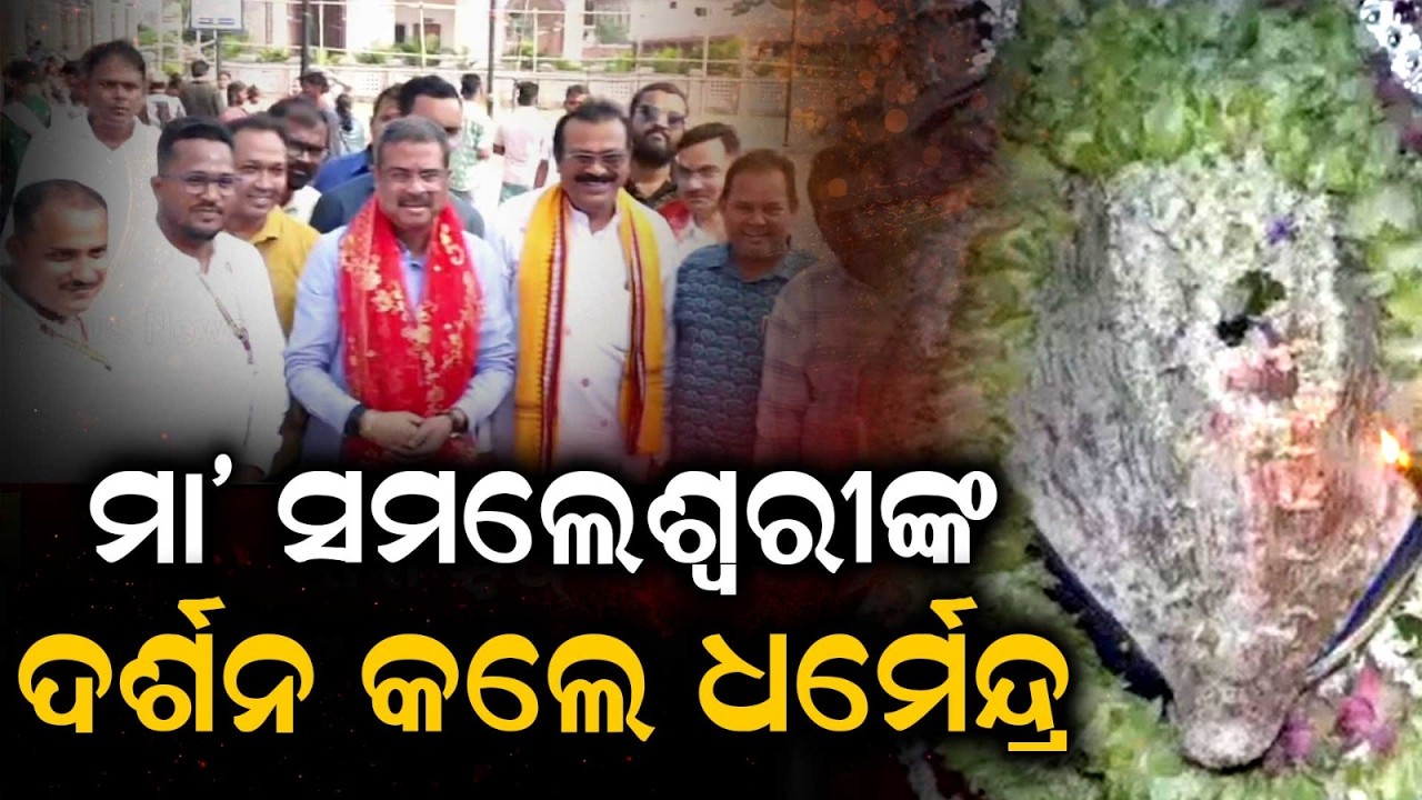 ମା’ ସମଲେଶ୍ୱରୀଙ୍କ ଦର୍ଶନ କଲେ ଧର୍ମେନ୍ଦ୍ର | Dharmendra Pradhan Visits Maa Samaleswari Temple |Argus News