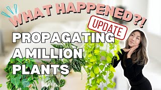 What Happened When I Propagated a Million Plants?! | Plant Chores | Houseplant Care Routine Tips