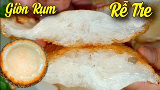 BÁNH TAI YẾN/Cách Làm BÁNH TAY YẾN Nước Dừa Tươi Giòn Rụm, Rất Nhiều RỄ TRE đơn giản dễ làm.