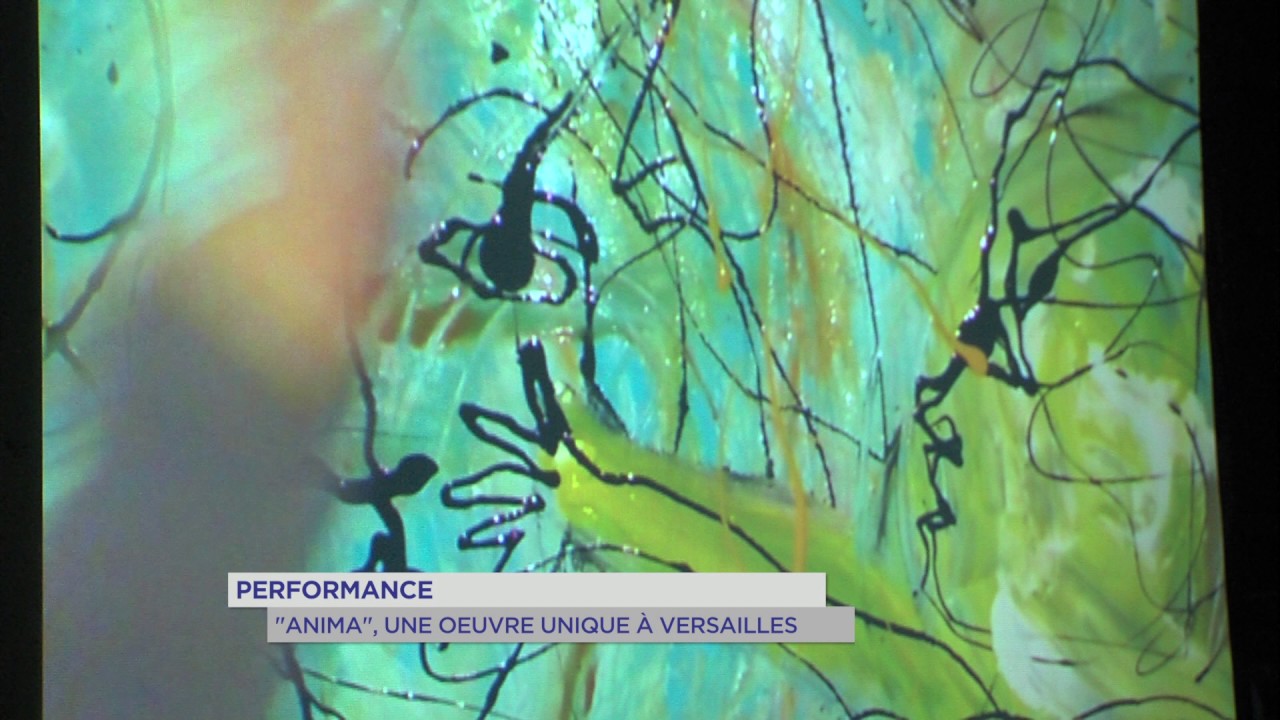 Performance : ‘Anima’, une oeuvre unique à Versailles