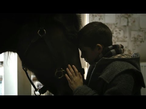 Een Paard op het Balkon'