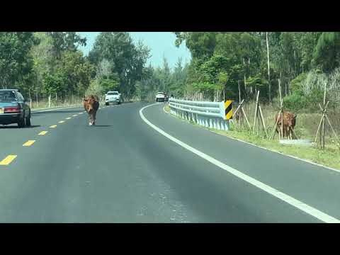 video Hainan Island, China Collector Car Tour- 2024