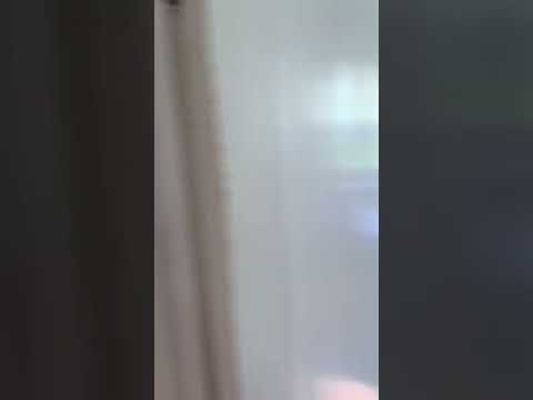 Vidéo de l’hébergement