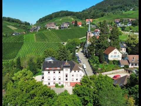 Property video