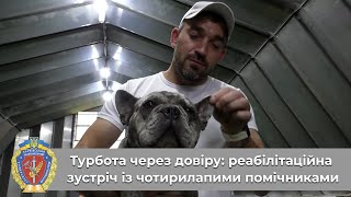 Турбота через довіру: реабілітаційна зустріч із чотирилапими помічниками