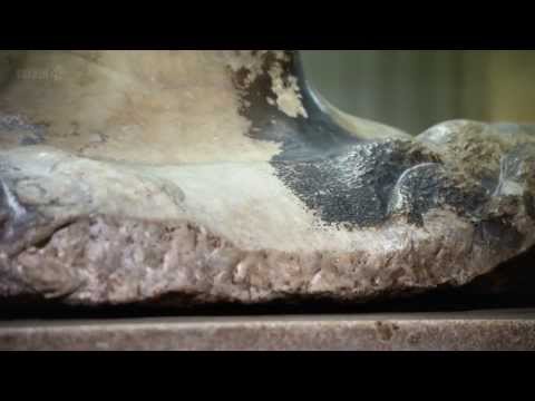 1/4 White : A History of Art in Three Colours (Ep3)