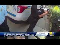 Body camera video shows incident leading to officers indicted(WBAL) - 02:36 min - News - Video
