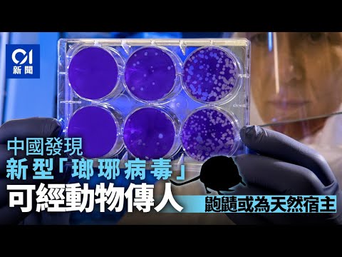 中國發現新型「瑯琊病毒」可經動物傳人　能否人傳人尚待確定