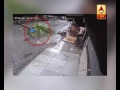 CCTV FOOTAGE: Heart wrenching! Woman died after tree falls on her