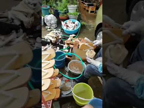 つぼや履物店 水災後 靴を洗う様子①