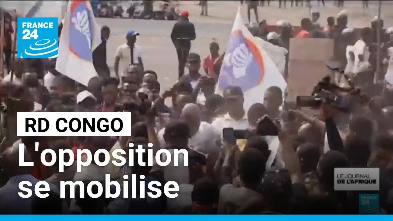 République démocratique du Congo : des heurts lors de rassemblements à Kinshasa • FRANCE 24