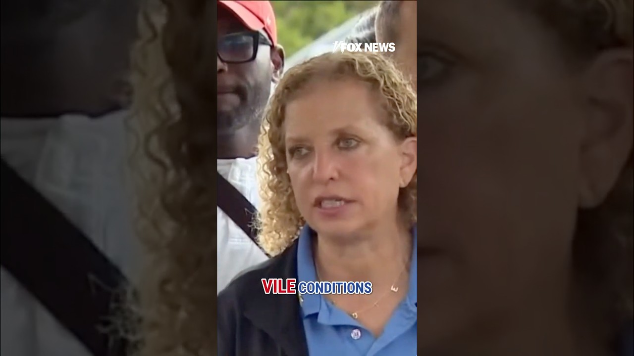 'VILE!': Dem lawmaker calls for shutdown of 'Alligator Alcatraz' #shorts #us #illegalimmigration