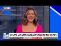 Lisa Boothe: This is the only way the border crisis stops  - 04:13 min - News - Video