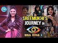 Anchor Sreemukhi's Journey In Bigg Boss 3- Exclusive Pics