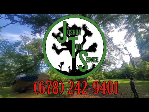 Dangerous Oak Tree Removal | Austell, GA