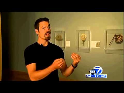 Behind the Scenes of Creating an Art Exhibition
