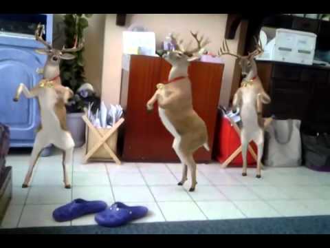 Les reine du père Noël qui danse