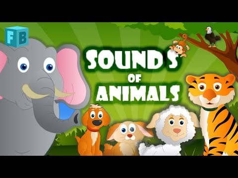 Sounds of Animals Song | Children Nursery Rhymes - YouTube