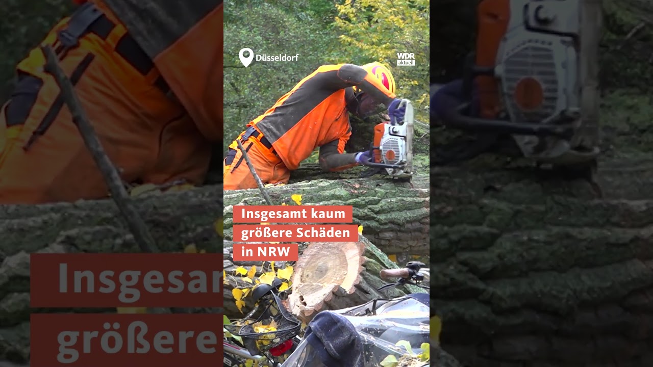 Herbststurm in NRW: Schauer, Gewitter und Sturmböen wdraktuell nachrichten