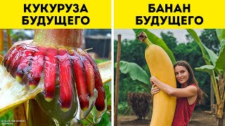 Ученый нашел растение, которое может изменить мир