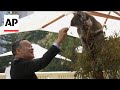 Leaders pat and feed a koala at ASEAN Australia Summit retreat