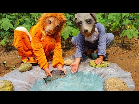 Puppy Lollipop Adventure Finger Family Song PionmoFunny #15
