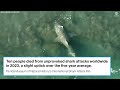 New report reveals how many people killed in unprovoked shark attacks worldwide in 2023  - 01:04 min - News - Video