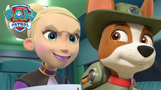 Cez džungľu záchranné labky zabraňujú gepardovi ničiť stromy! - Paw Patrol