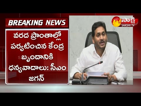 Central team meets with CM YS Jagan Central team meets with CM YS Jagan