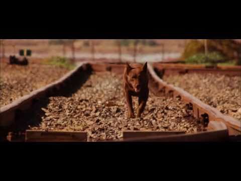 Red Dog'