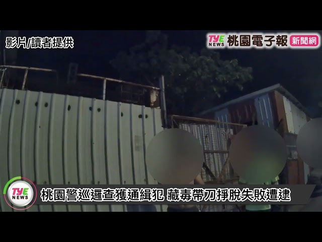 【有片】桃園警巡邏查獲通緝犯 藏毒帶刀掙脫失敗遭逮