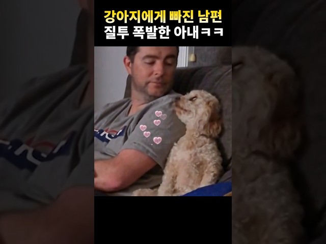 강아지랑 눈맞춤하는 남편… 그 뒤에 벌어진 일은?