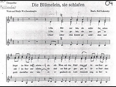 Die Blümelein, sie schlafen (Rolf Lukowsky) - Psycho-Chor der Uni Jena