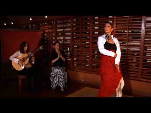 Holly Blazina - Holly Blazina - Flamenco Guitar and Dance